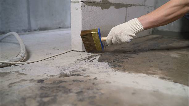24/7 Emergency Wet Basement Repair experts in Albertville, MN